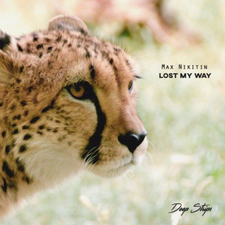 Lost My Way (Original Mix) | Boomplay Music