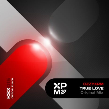 True Love (Original Mix)