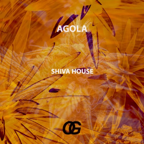 Shiva House (Original Mix)