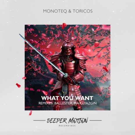 What You Want (Ballester Remix) ft. Toricos