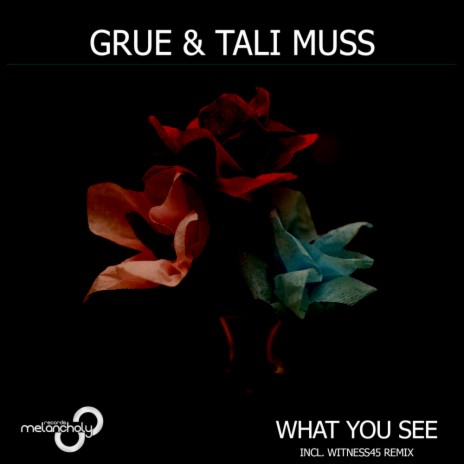 What You See (Witness45 Remix) ft. Tali Muss