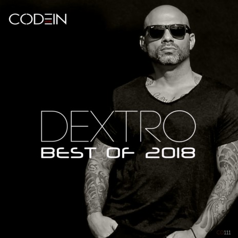 Everything (DJ Dextro Remix)