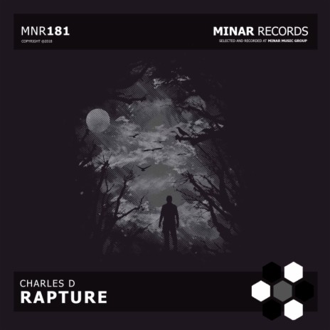 Rapture (Original Mix) | Boomplay Music