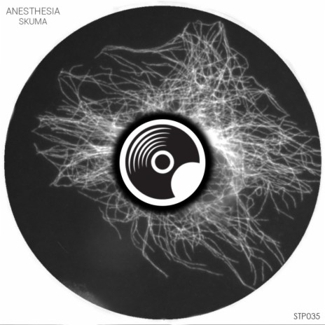 Anesthesia (Original Mix) | Boomplay Music