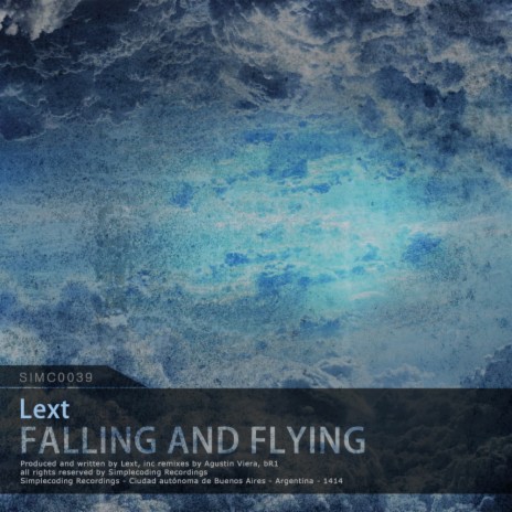 Falling & Flying (Original Mix)