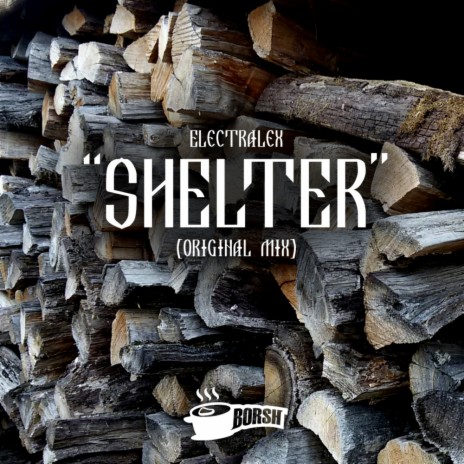 Shelter (Original Mix)