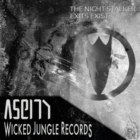 The Night Stalker (Original Mix)