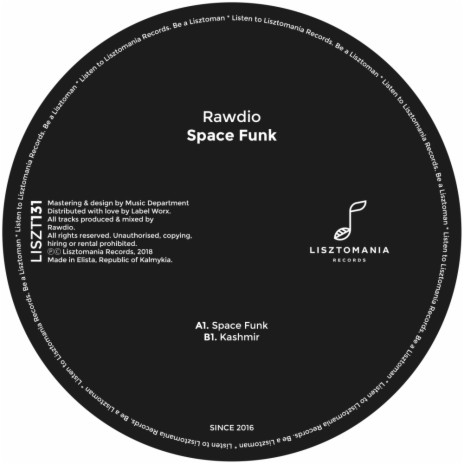 Space Funk (Original Mix)