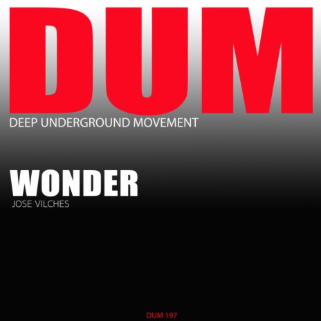 Wonder (Original Mix)