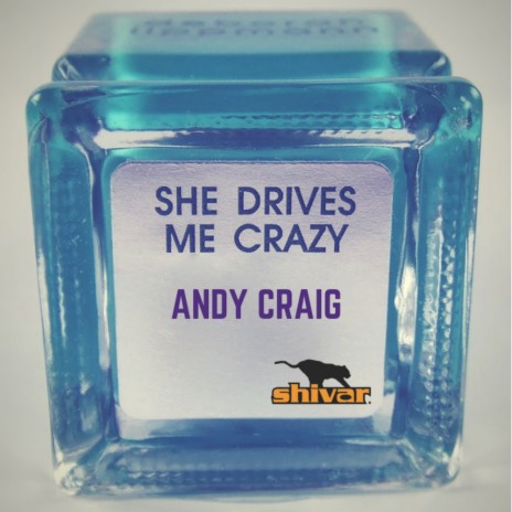 She Drives Me Crazy (Original Mix) | Boomplay Music