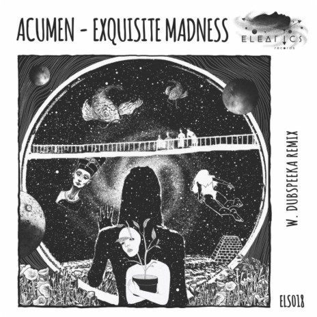 Exquisite Madness (dubspeeka Remix) | Boomplay Music