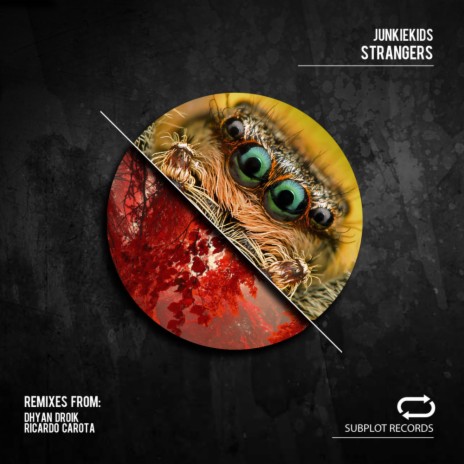 Strangers (Ricardo Carota Remix) | Boomplay Music