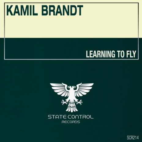 Learning To Fly (Extended Mix) | Boomplay Music
