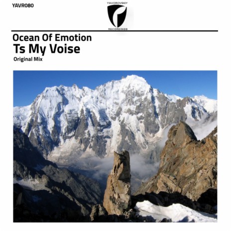 Ts My Voise (Original Mix) | Boomplay Music