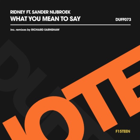 What You Mean To Say (Richard Earnshaw Radio Edit) ft. Sander Nijbroek | Boomplay Music