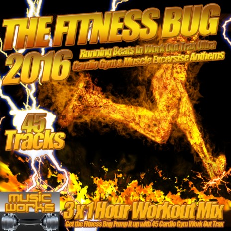 The Fitness Bug 2016 | Boomplay Music