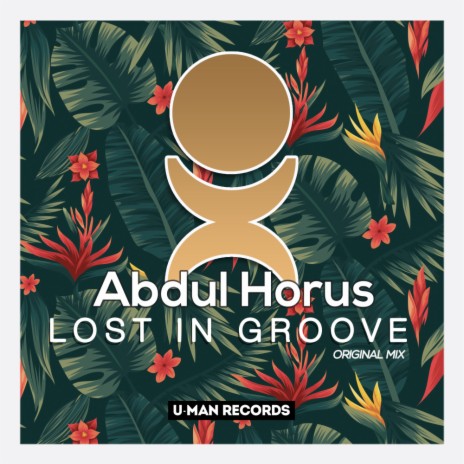 Lost In Groove (Original Mix)