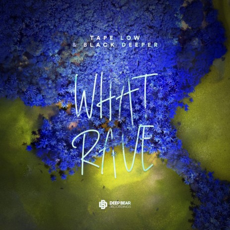 What Rave ft. Black Deeper | Boomplay Music