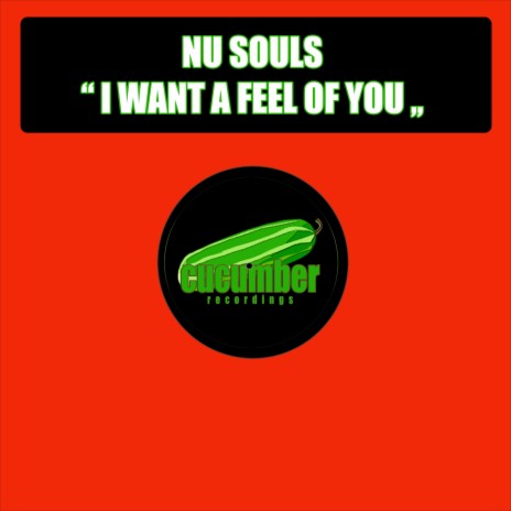 I Want A Feel Of You (Original Mix)