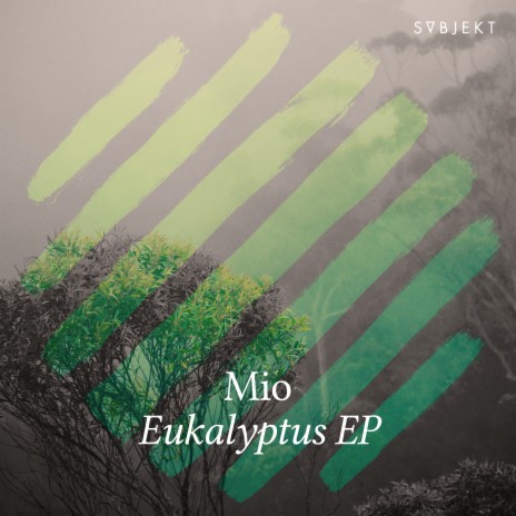 Eukalyptus | Boomplay Music