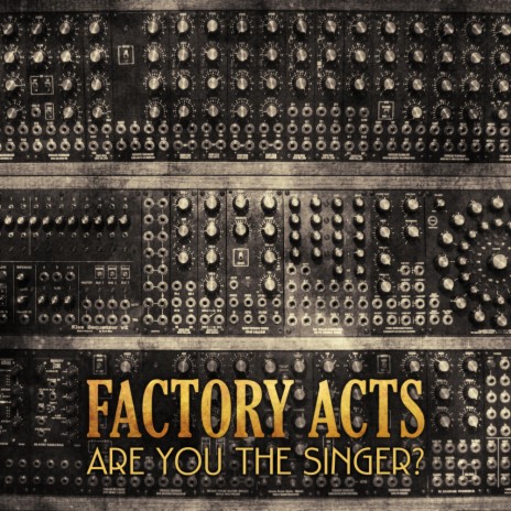 Are You The Singer? (Radio Edit) | Boomplay Music