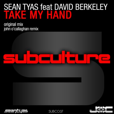 Take My Hand (Radio Edit) ft. David Berkeley | Boomplay Music