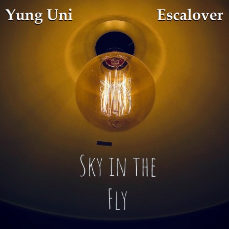 Fly in the Sky ft. Escalover | Boomplay Music