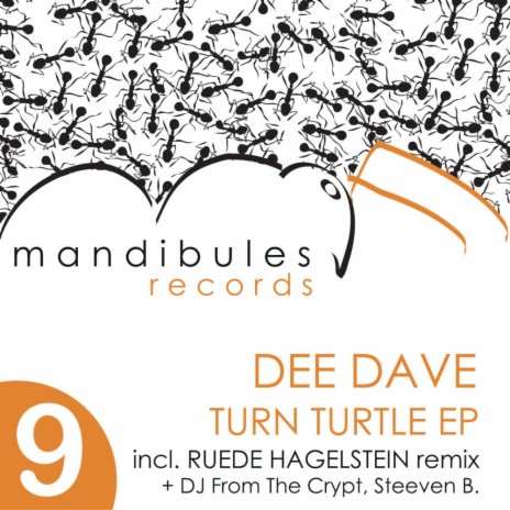 TURN TURTLE (DJ From The Crypt Remix) | Boomplay Music