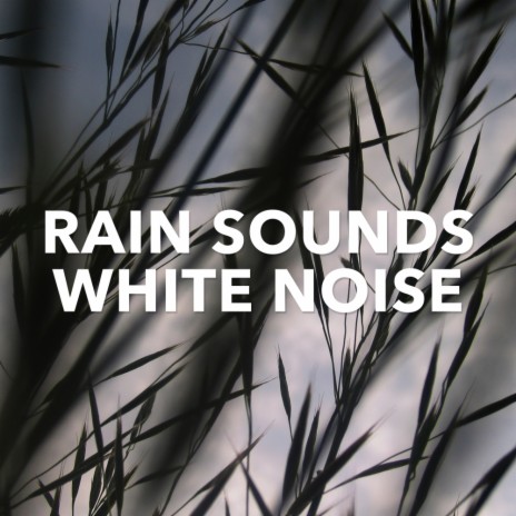 Raining Sleep Sounds (Original Mix) ft. White Noise | Boomplay Music