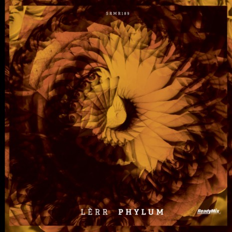 Phylum (Gulivert Remix) | Boomplay Music