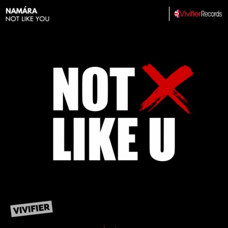 Not Like You (Original Mix)