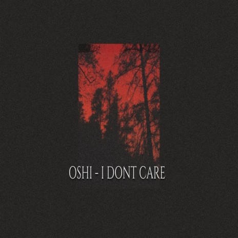 I Dont Care | Boomplay Music