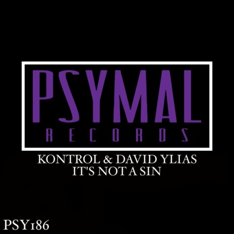 It's Not A Sin (Original Mix) ft. David Ylias | Boomplay Music
