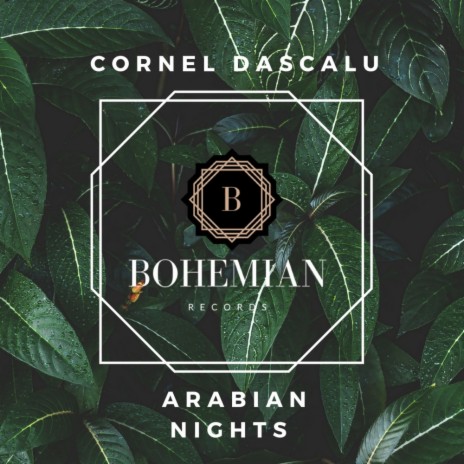 Arabian Nights (Original Mix) | Boomplay Music