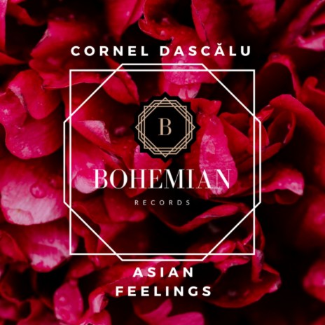 Asian Feelings (Original Mix) | Boomplay Music