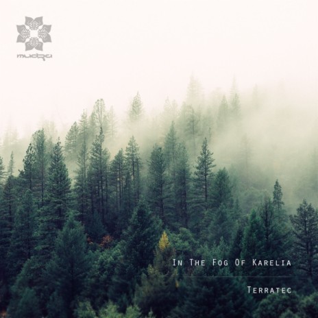 In The Fog Of Karelia (Original Mix) | Boomplay Music