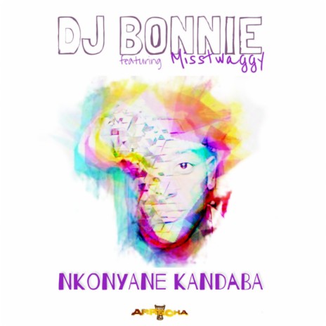 Nkonyane Kandaba (Afro Mix) ft. MissTwaggy | Boomplay Music