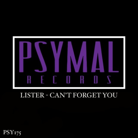 Can't Forget You (Original Mix) | Boomplay Music
