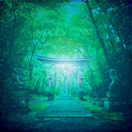 Hidden Sense (Original Mix) | Boomplay Music