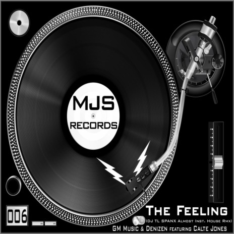 The Feeling (DJ TL SPANX Almost Inst. House RMX) ft. Denizen & Calte Jones