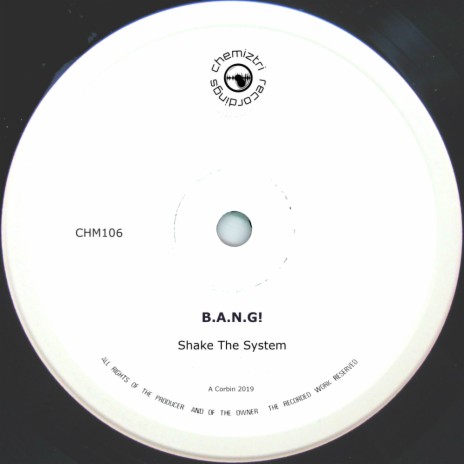 Shake The System (Original Mix)