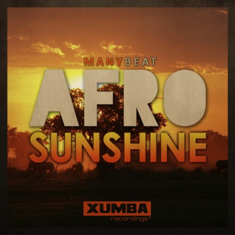 Afro Sunshine (Original Mix)