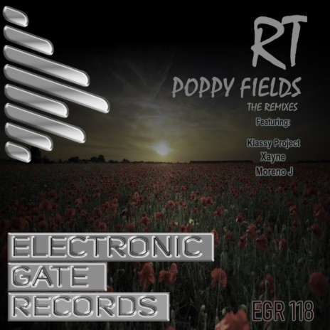 Poppy Fields (Klassy Project Remix) | Boomplay Music