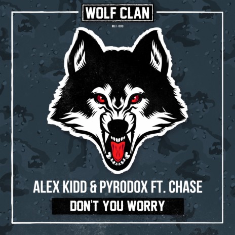 Don't You Worry (Radio Version) ft. Pyrodox & Chase | Boomplay Music