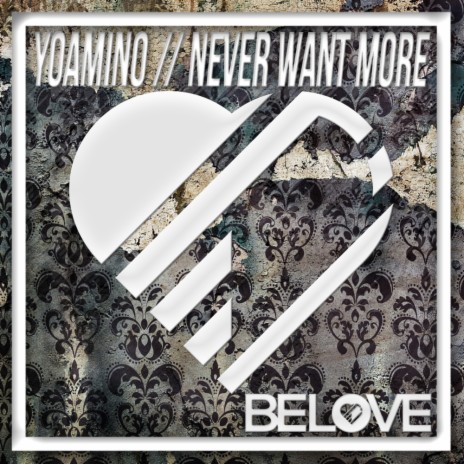 Never Want More (Original Mix) | Boomplay Music