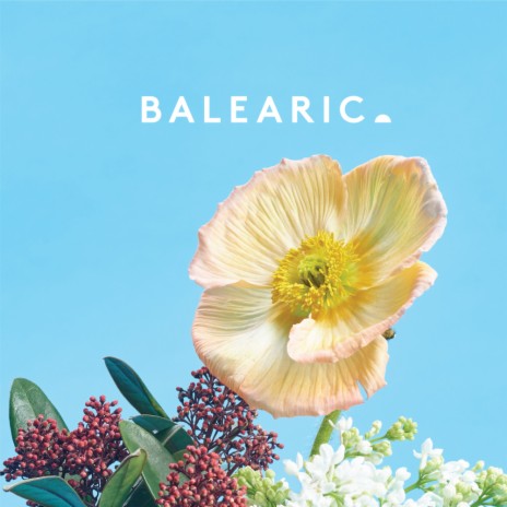 Balearic 4 (Continuous Mix)