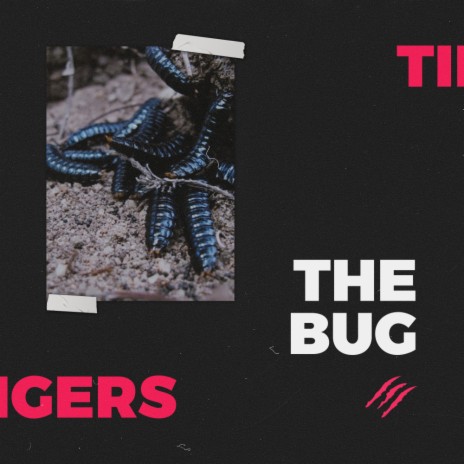 The Bug (Original Mix)