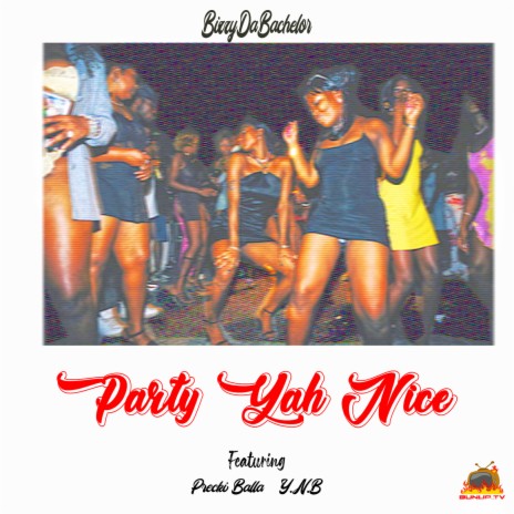 Party Yah Nice ft. Precki Balla & YNB | Boomplay Music