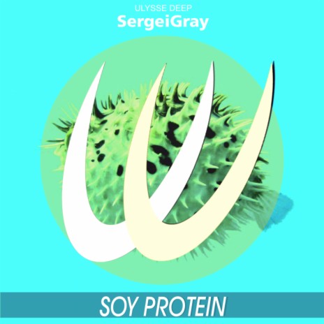 Soy Protein (Original Mix)