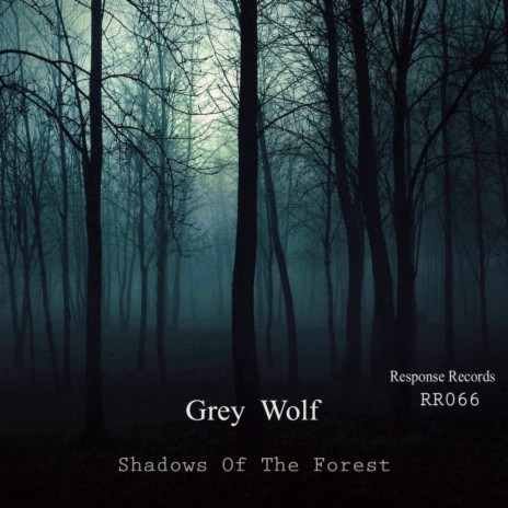 Shadows Of The Forest (Original Mix)